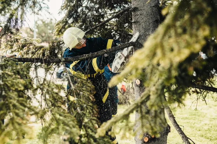 Tree Pruning
